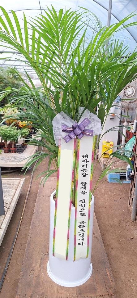 업로드 이미지