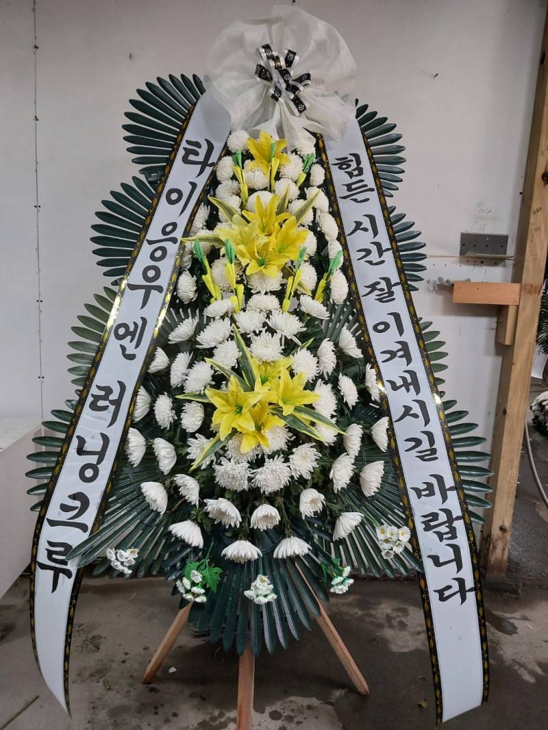 업로드 이미지