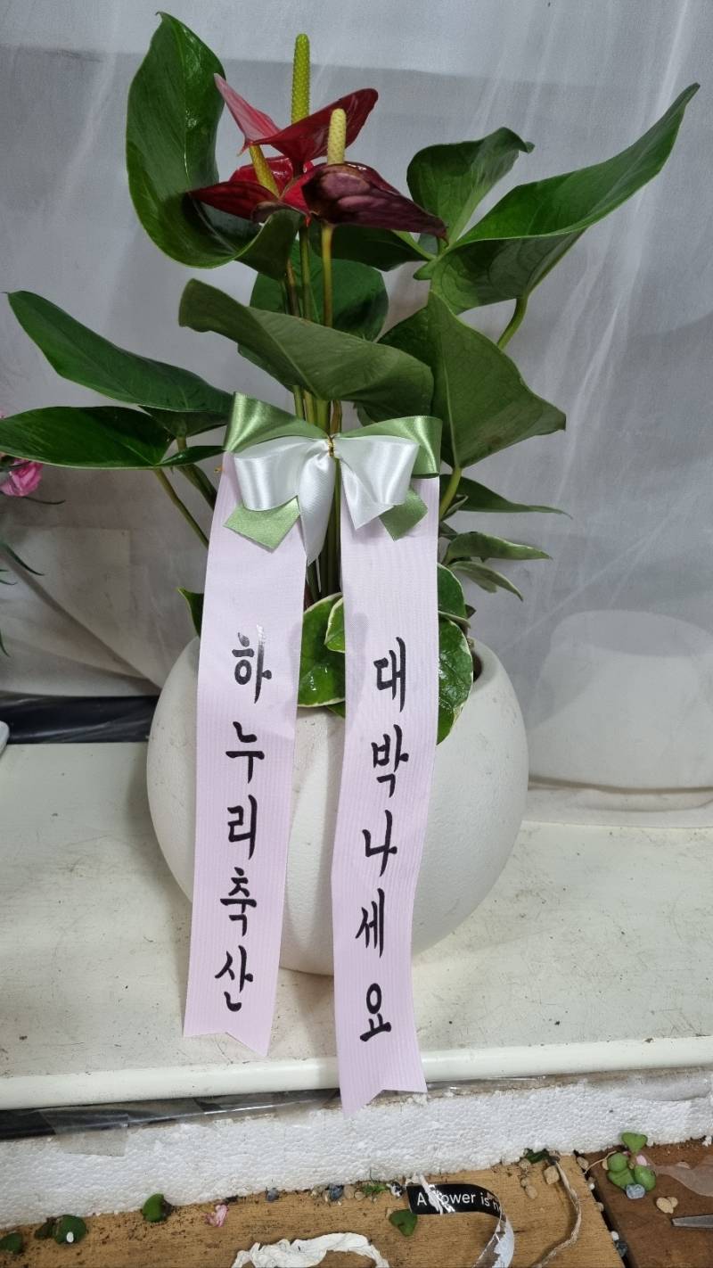 업로드 이미지
