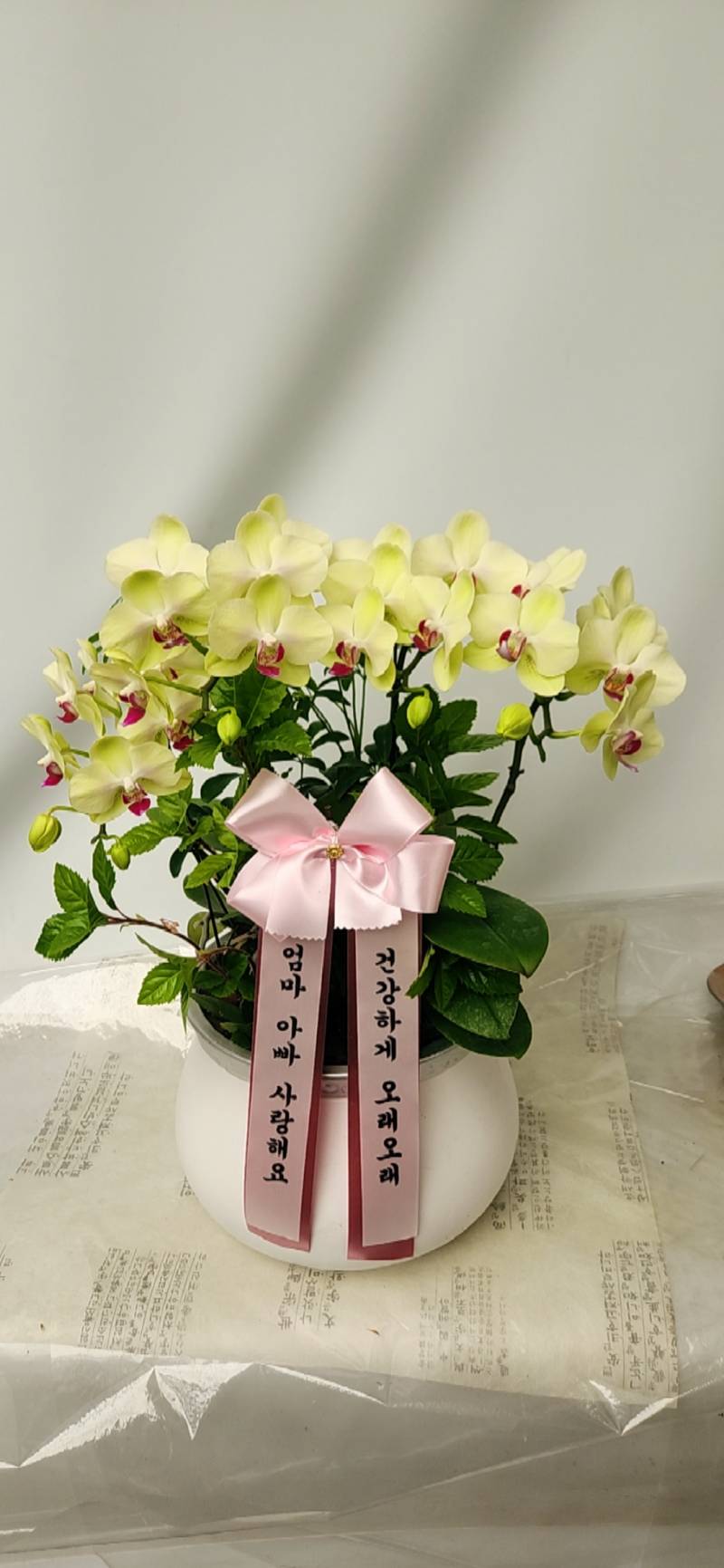 업로드 이미지