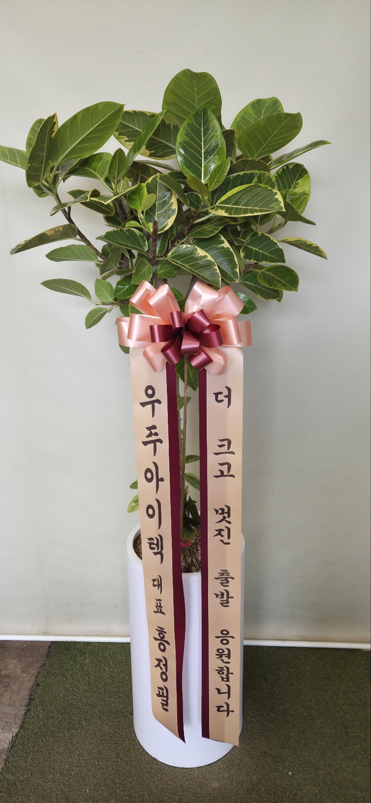 업로드 이미지