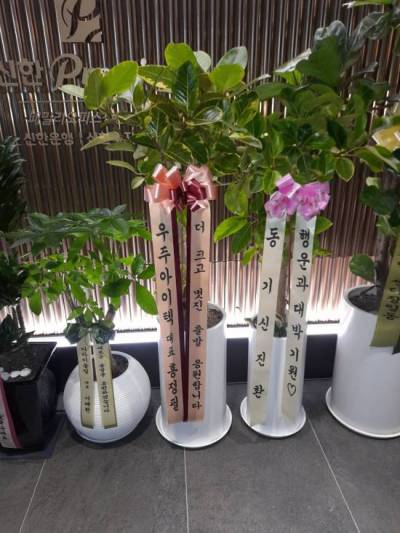 배송사진
