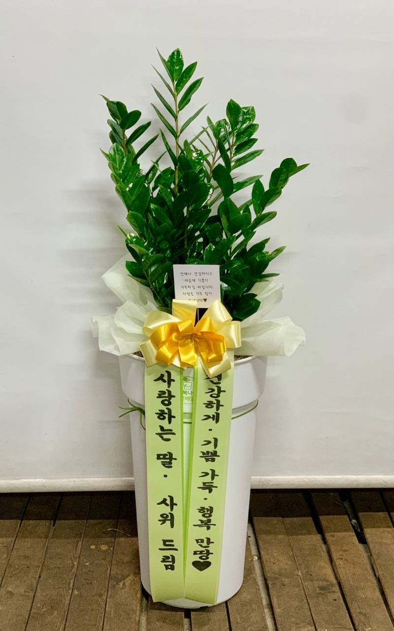 배송사진