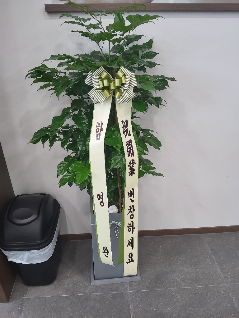 업로드 이미지