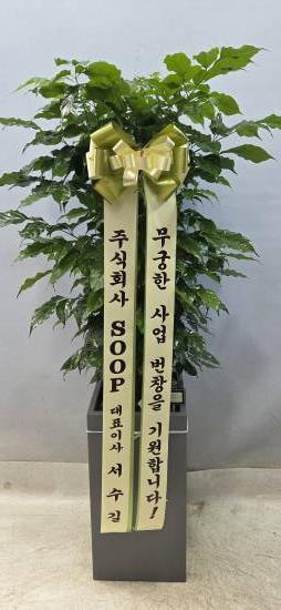 업로드 이미지