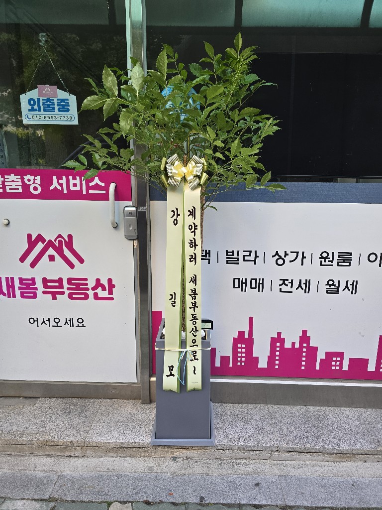 업로드 이미지