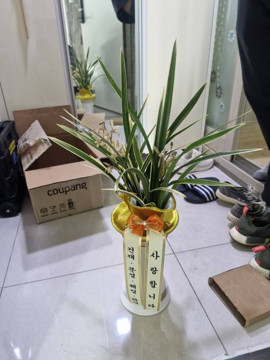 업로드 이미지