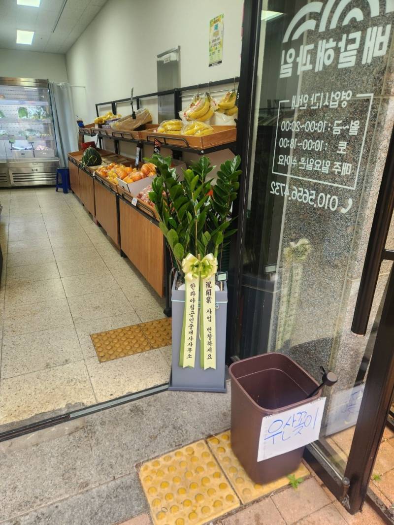 업로드 이미지