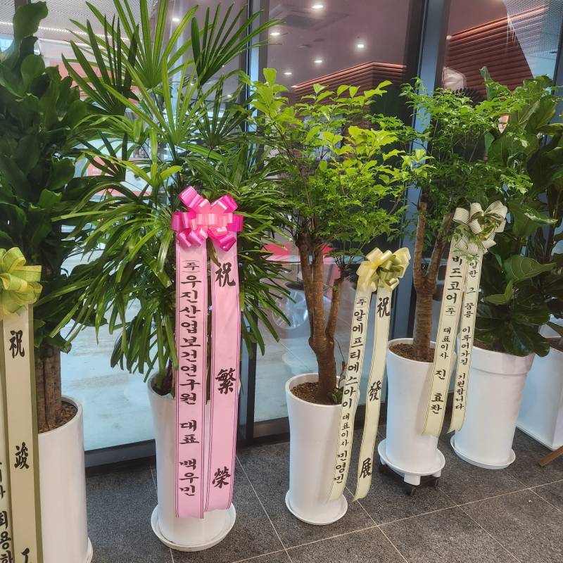 업로드 이미지