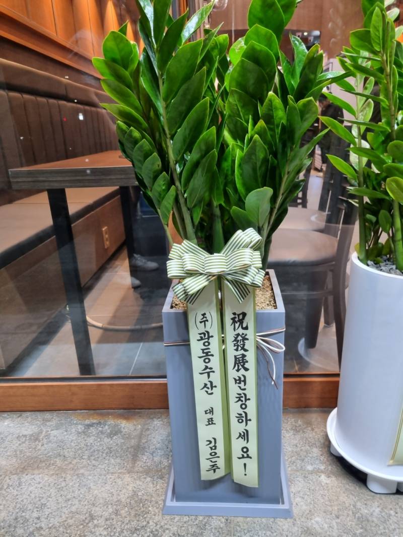 업로드 이미지