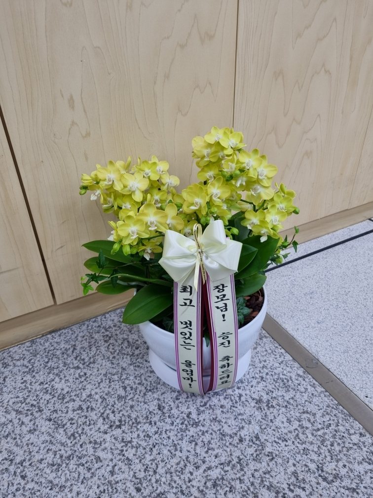 업로드 이미지