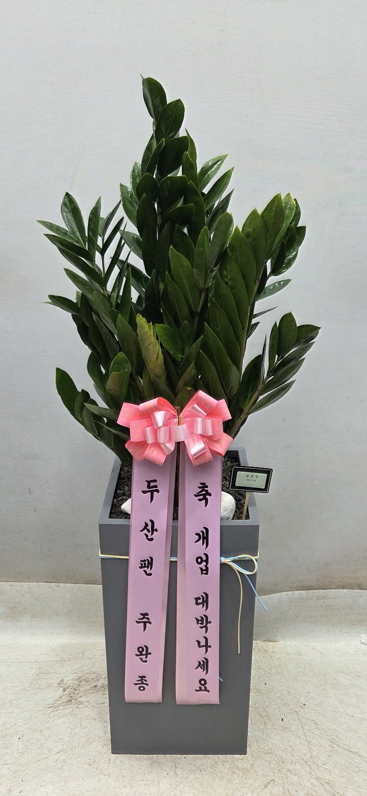 업로드 이미지