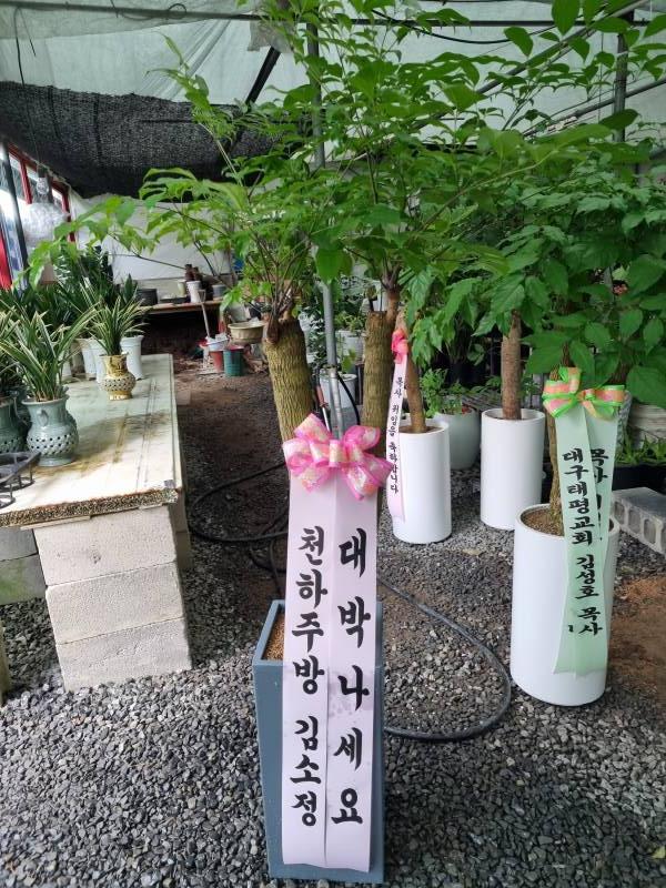 업로드 이미지