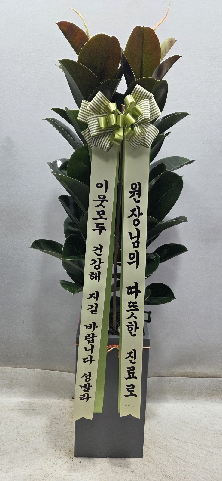 업로드 이미지