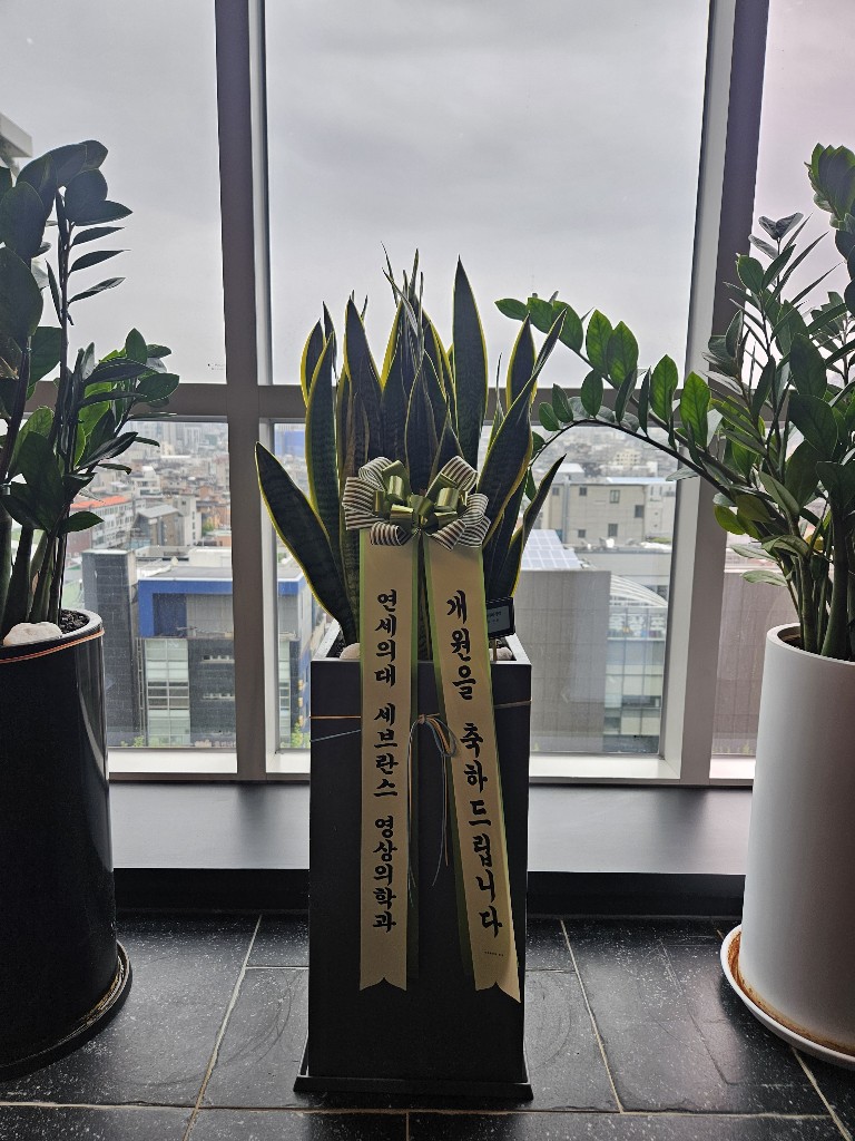 업로드 이미지