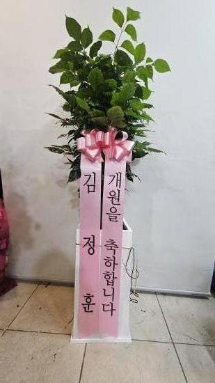 업로드 이미지