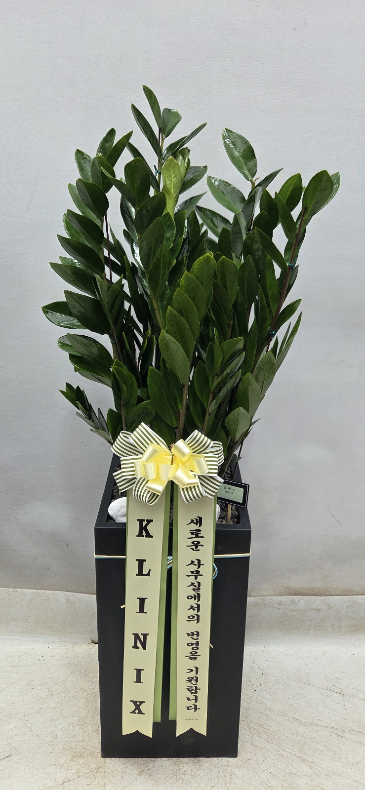 업로드 이미지