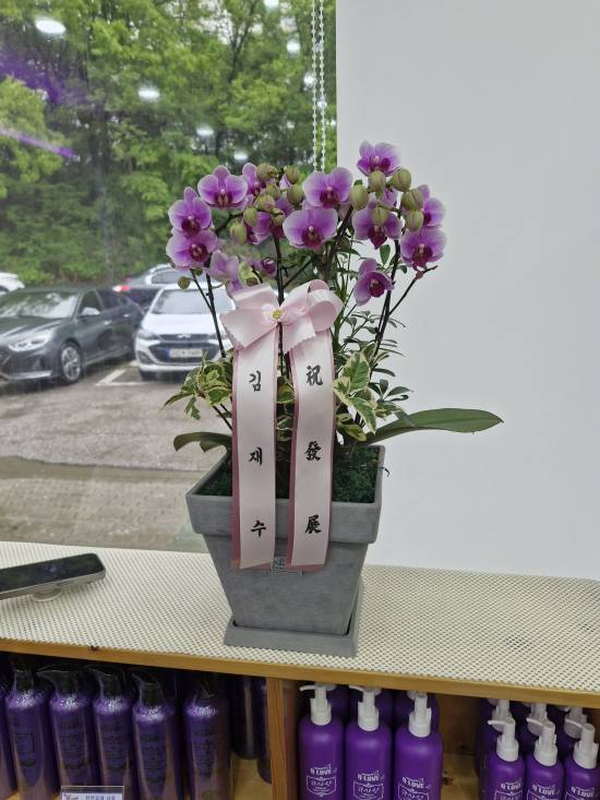 업로드 이미지