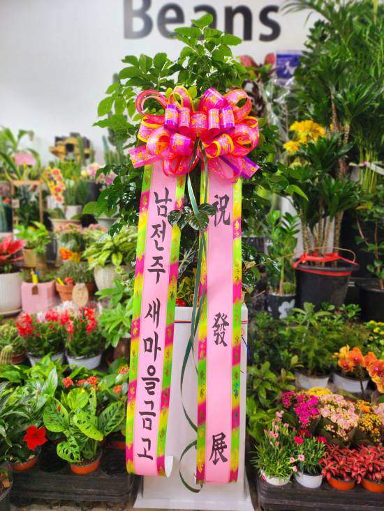 업로드 이미지