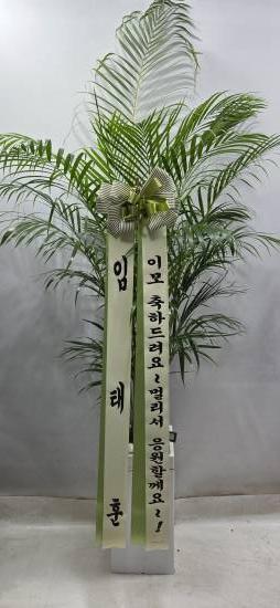 업로드 이미지