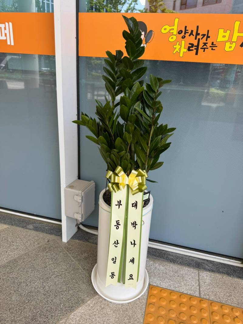 업로드 이미지