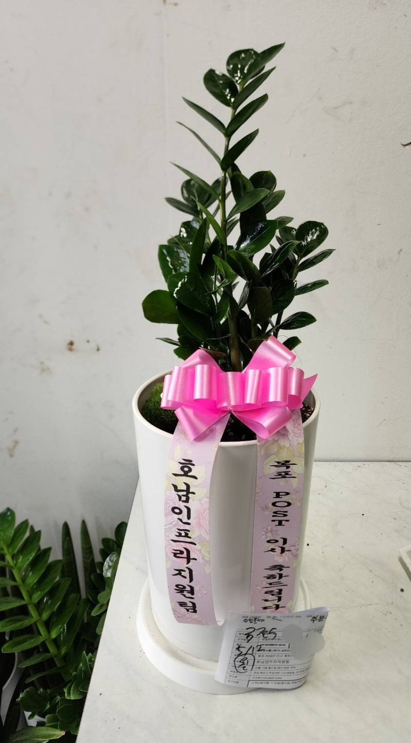 업로드 이미지
