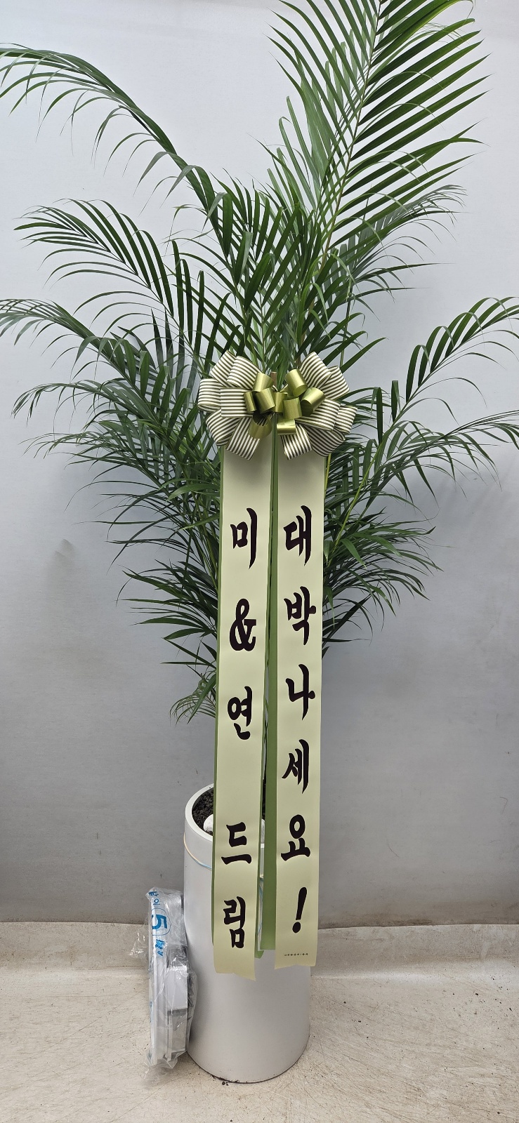 업로드 이미지