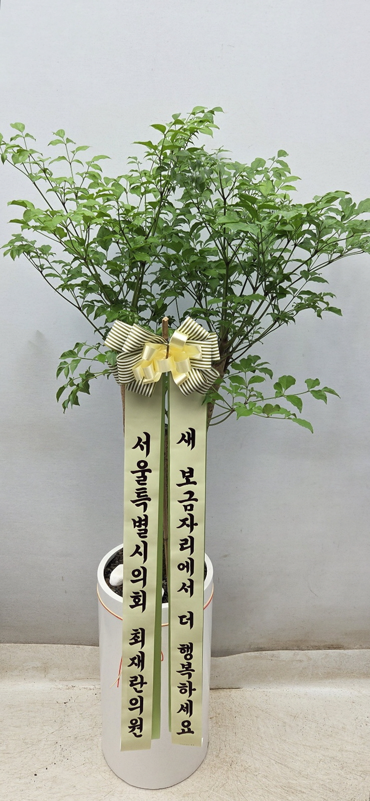 업로드 이미지