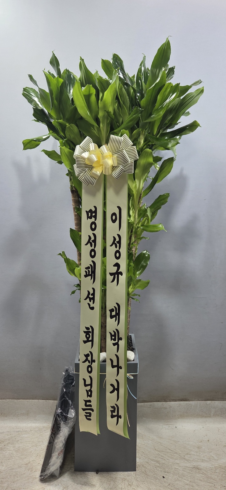 업로드 이미지
