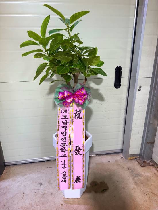 업로드 이미지