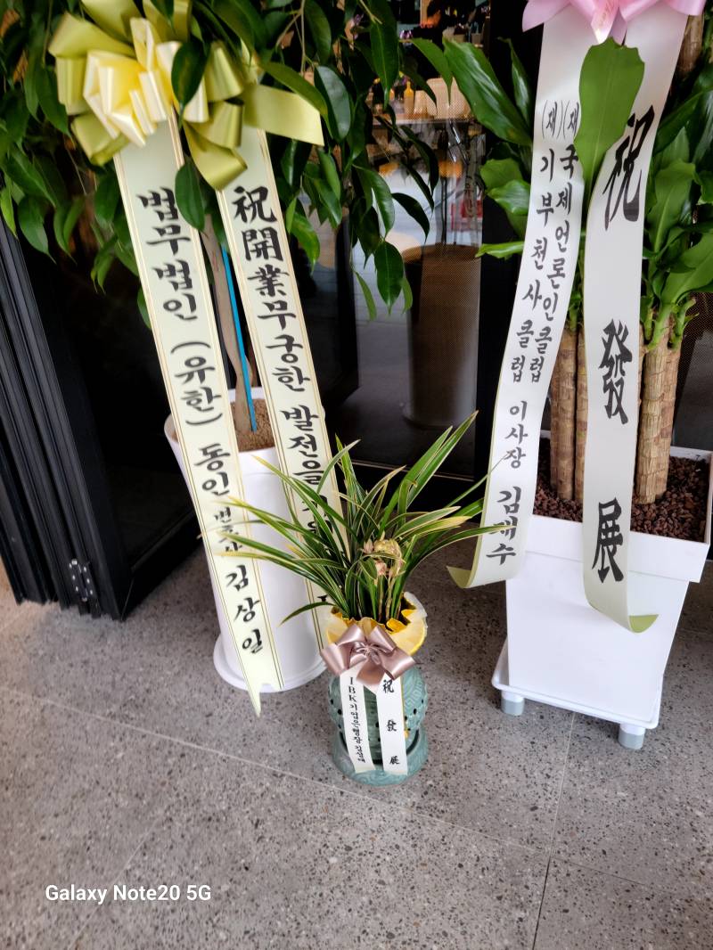 업로드 이미지