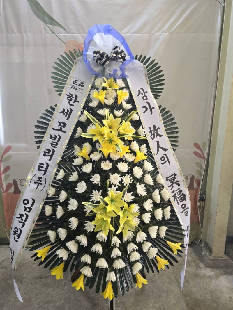 업로드 이미지