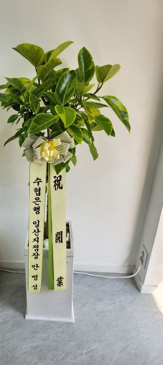 업로드 이미지