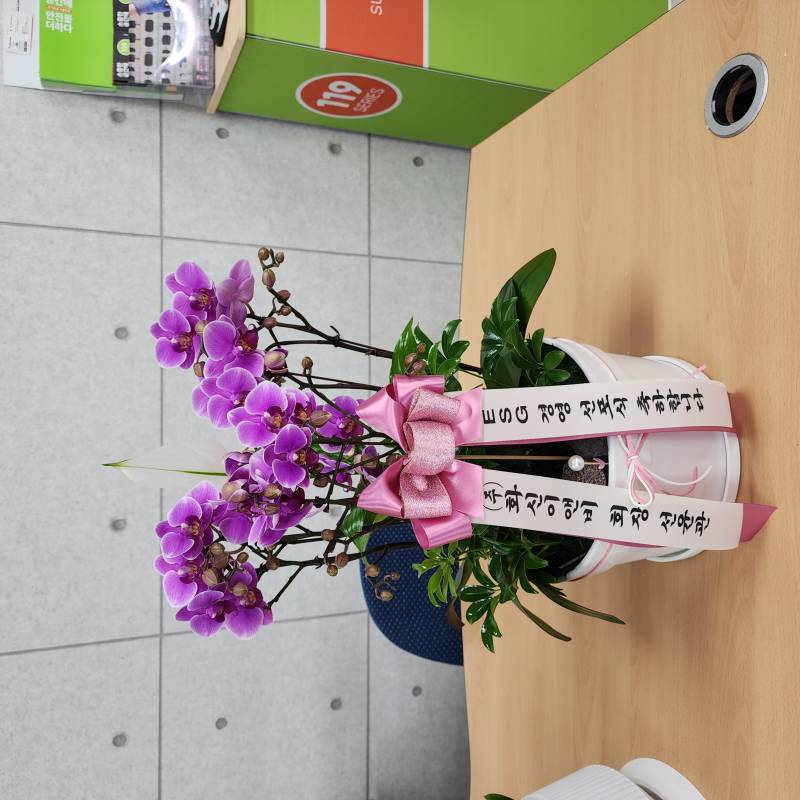 업로드 이미지
