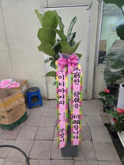 업로드 이미지