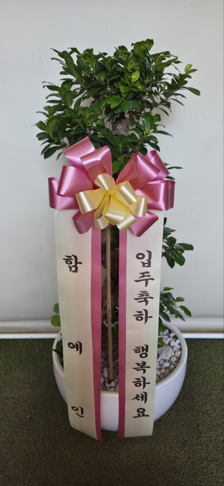 업로드 이미지