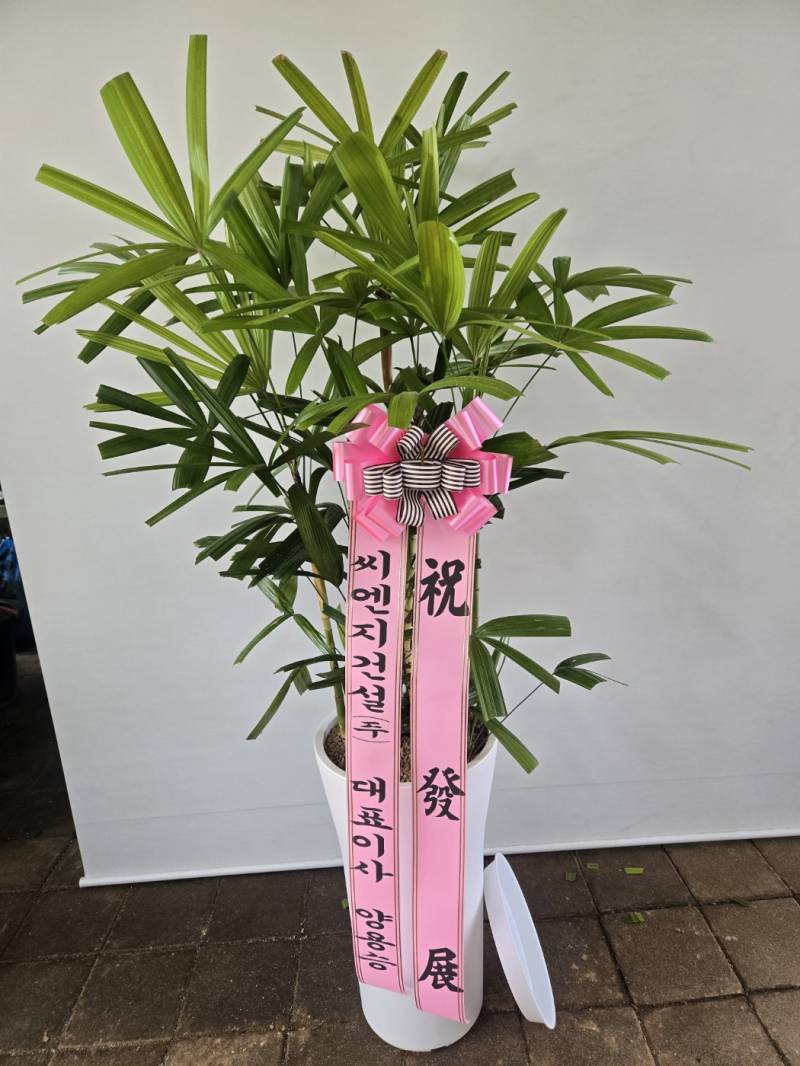 업로드 이미지