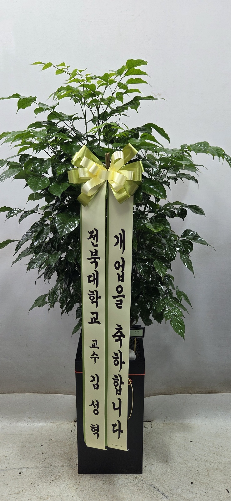 업로드 이미지