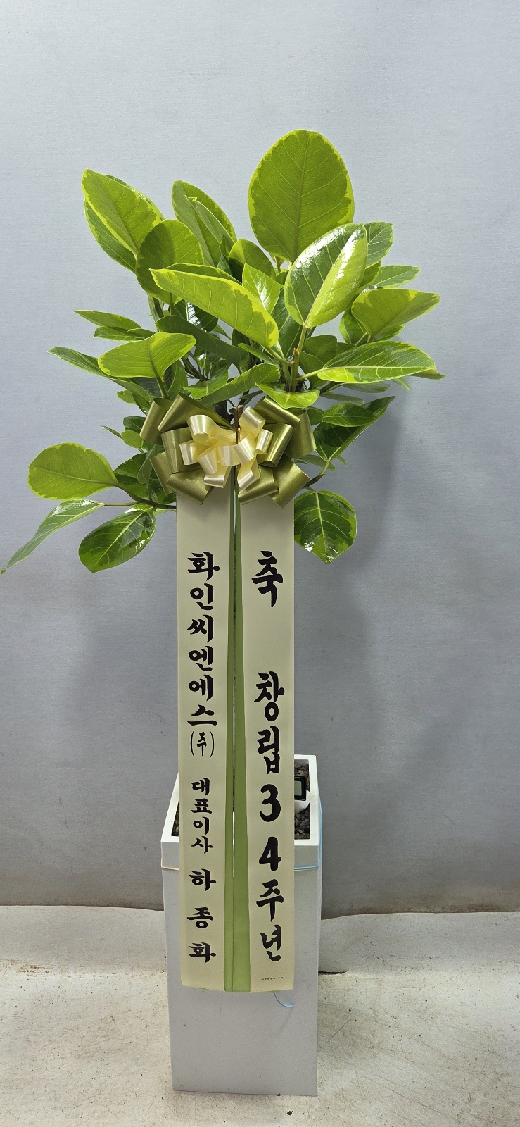 업로드 이미지