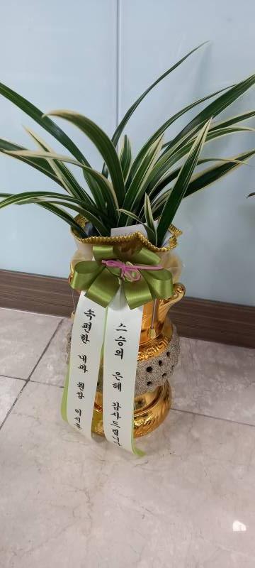 업로드 이미지