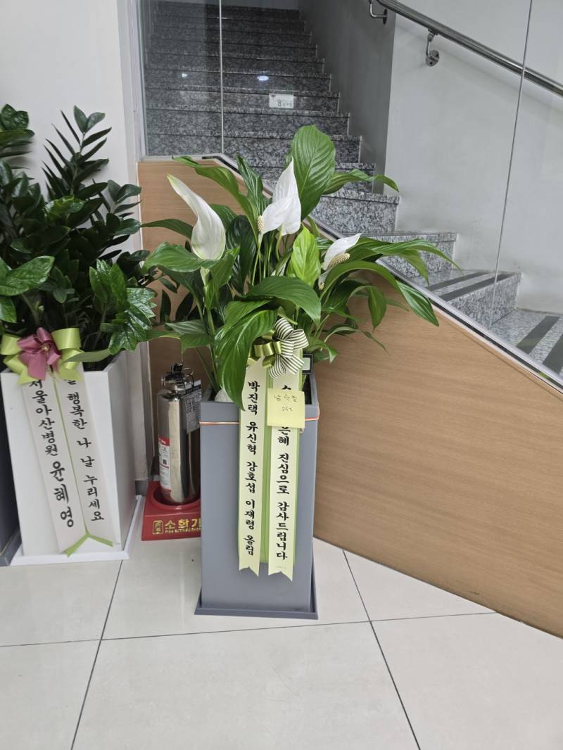 업로드 이미지