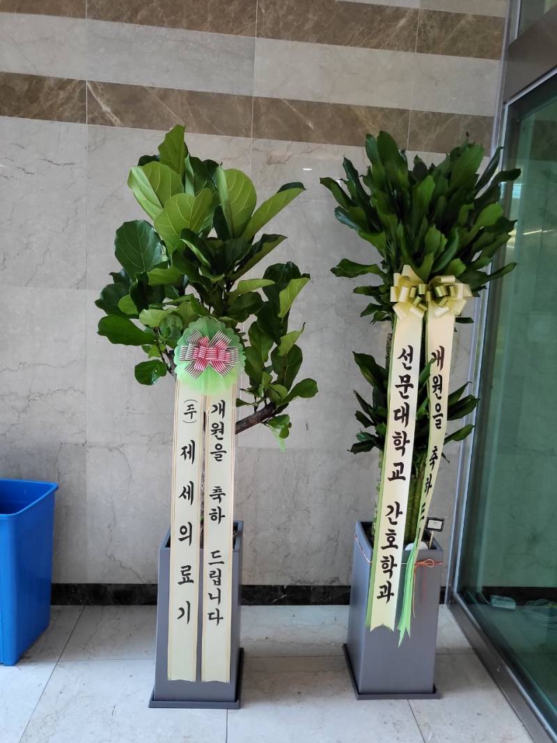 업로드 이미지