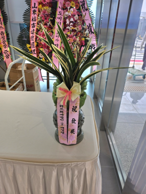 배송사진