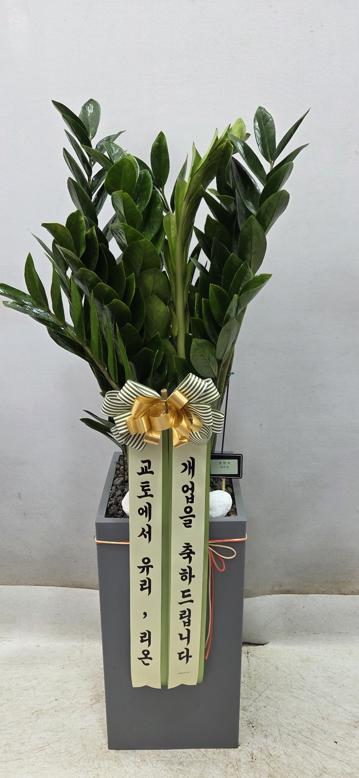 업로드 이미지