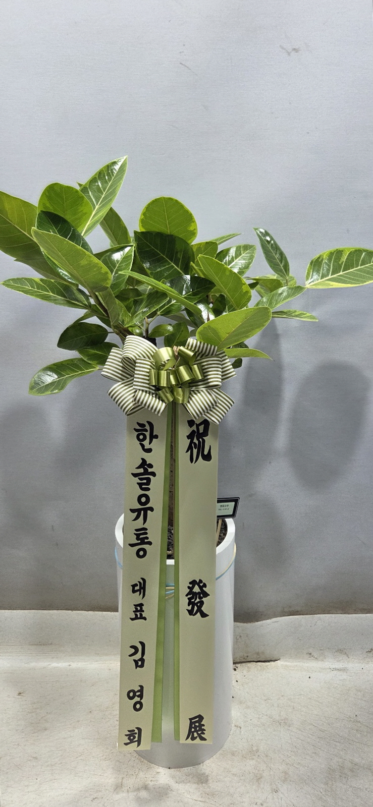 업로드 이미지