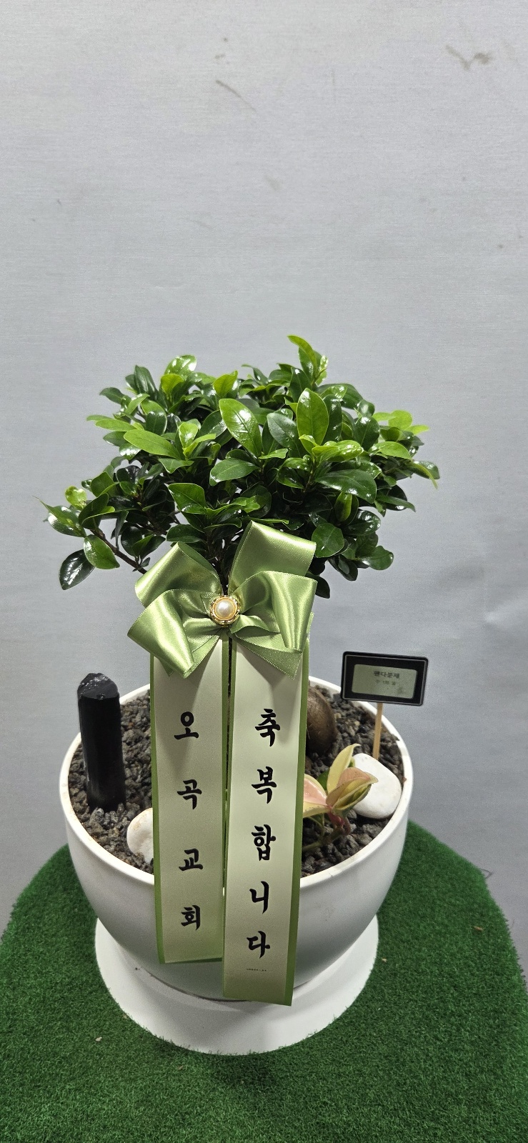 업로드 이미지