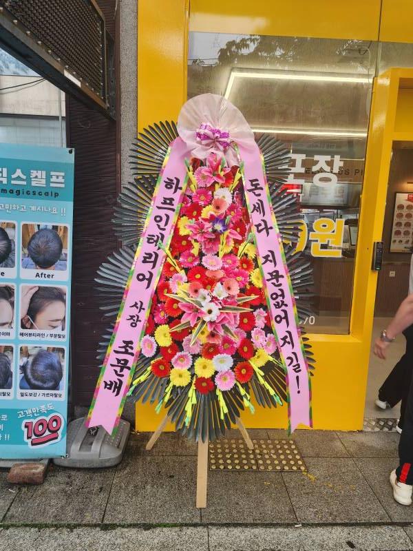 업로드 이미지