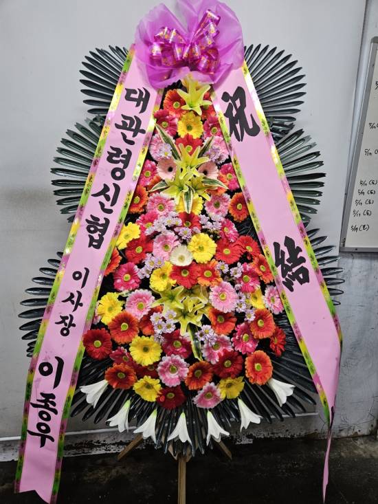 업로드 이미지