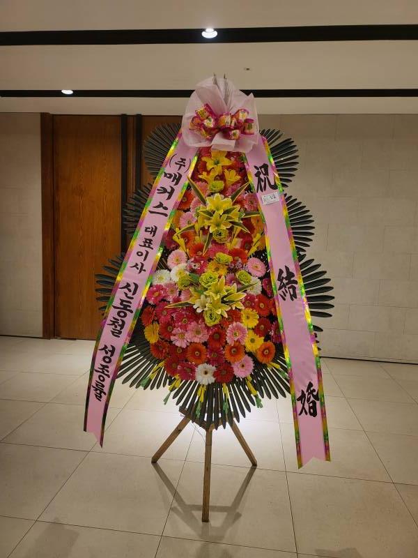 업로드 이미지