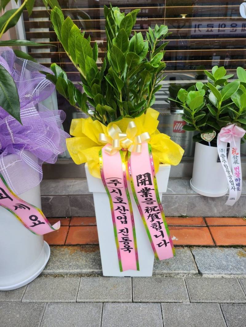 업로드 이미지